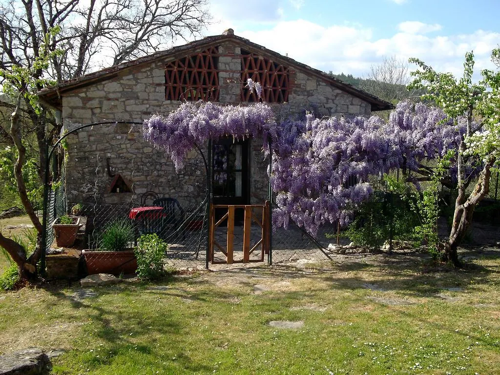 Holiday home La Capanna Della Dudda Villa Gaiole in Chianti
