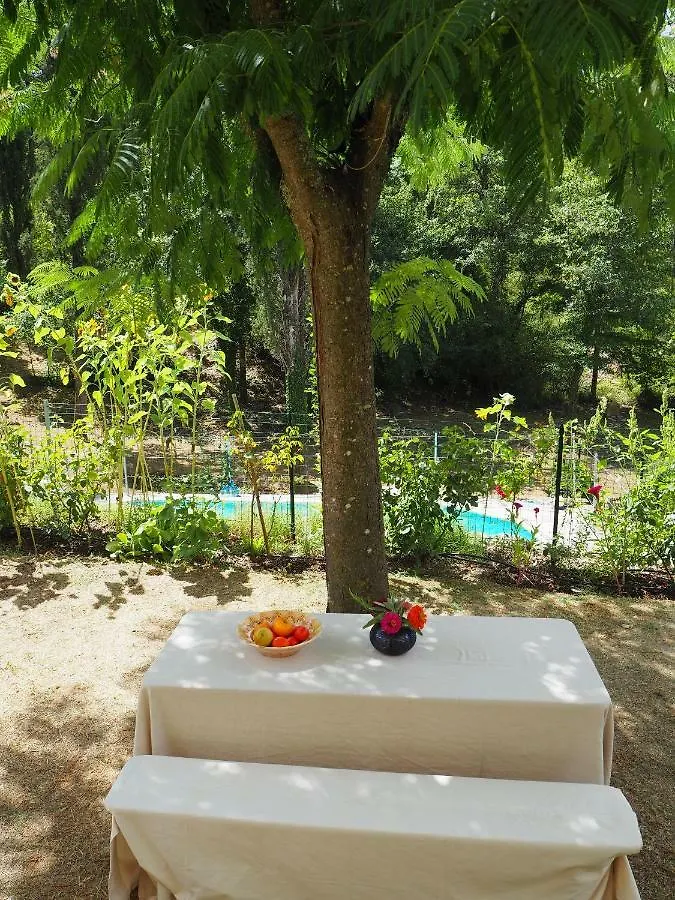 Holiday home La Capanna Della Dudda Villa Gaiole in Chianti